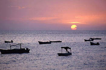 Morrocoy